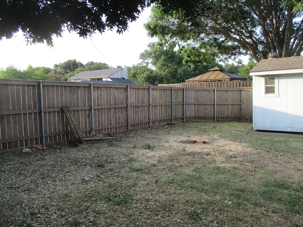 Cleared yard after professional tree removal in Athens